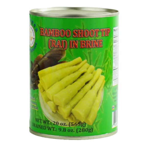 Bamboo Shoot Tip in Brine